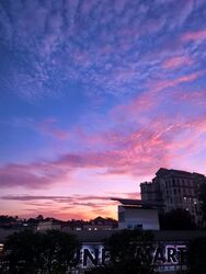 Thomson Garden Estate (D20), Terrace #564228311